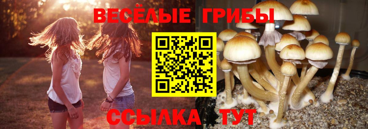 Псилоцибиновые грибы прущие грибы Азнакаево